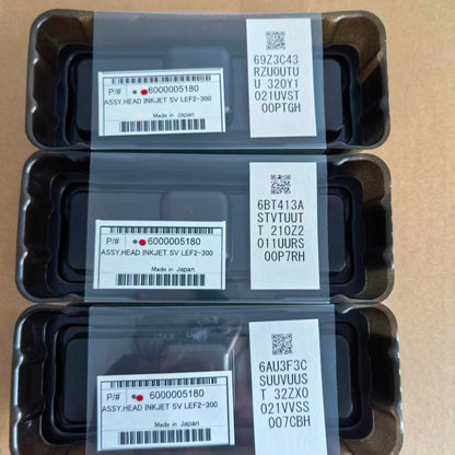 Cabeça de Impressão Roland DX4